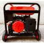 Бензиновый генератор Edon PT-6000L