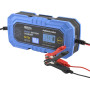 Зарядное устройство АКБ Brevia Power1000 6V/12V 10A для LiFePO4
