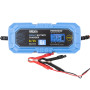 Зарядное устройство АКБ Brevia Power600 6V/12V 6A для LiFePO4