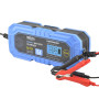 Зарядное устройство АКБ Brevia Power600 6V/12V 6A для LiFePO4