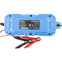 Зарядное устройство АКБ Brevia Power600 6V/12V 6A для LiFePO4