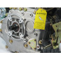 Двигун дизельний Forte F186FET-25 10 л. шліць