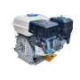 Двигун Edon ED-210/8.0HP (7,0 л.с., бензин)