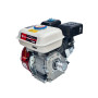 Двигун Edon ED-210/8.0HP (7,0 л.с., бензин)