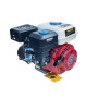 Двигун Edon ED-210/8.0HP (7,0 л.с., бензин)