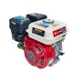 Двигун Edon ED-210/8.0HP (7,0 л.с., бензин)